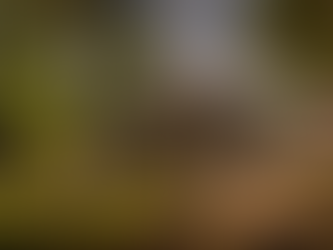 Vote 1 Hun Sen! And 2, 3, 4, 5…