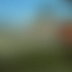 Silicon Valley and the New Oligarchy: Tech Power, Citizens United and Democracy