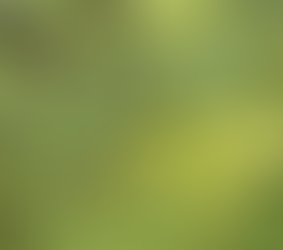 The challenges facing a strategic Australia-India alliance in the Asia-Pacific