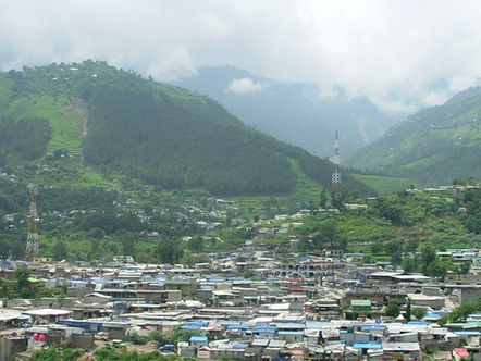 The fallen trees of the Massar Jabba Forest and eco-terrorism in the 21st Century