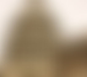 Overreach of Executive Authority over US Congress – a Contemporary Enabler for Change?