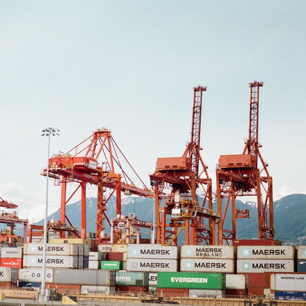 Winners and Losers: The Real Consequences of the China-Australia Trade War
