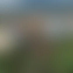 Climate-induced Migration: How Australia Can Respond to Another Global Crisis