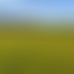 The Path to Eliminating Modern Slavery in Europe: Is it Possible?