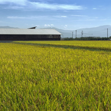 The Path to Eliminating Modern Slavery in Europe: Is it Possible?