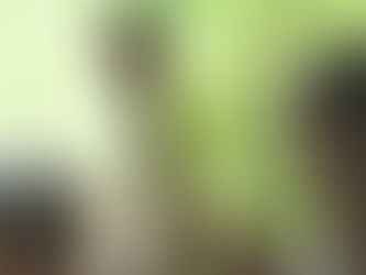 Indigenous peoples are our best environmental wardens, it’s time to stop locking them out