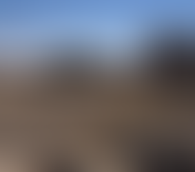 A Year on and Still Paying the Price: The Continuing Economic Costs of the 2014 Gaza War