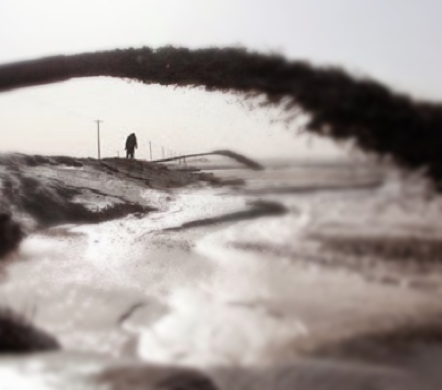 Chile’s BioLantánidos Project: A Genuine Challenge to Baotou’s Rare Earth Monopoly?