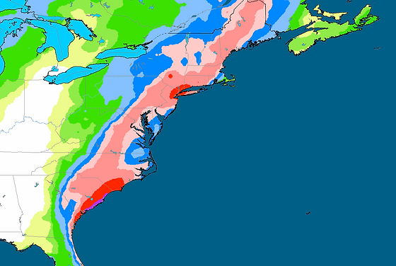 Flood Reports Metcon