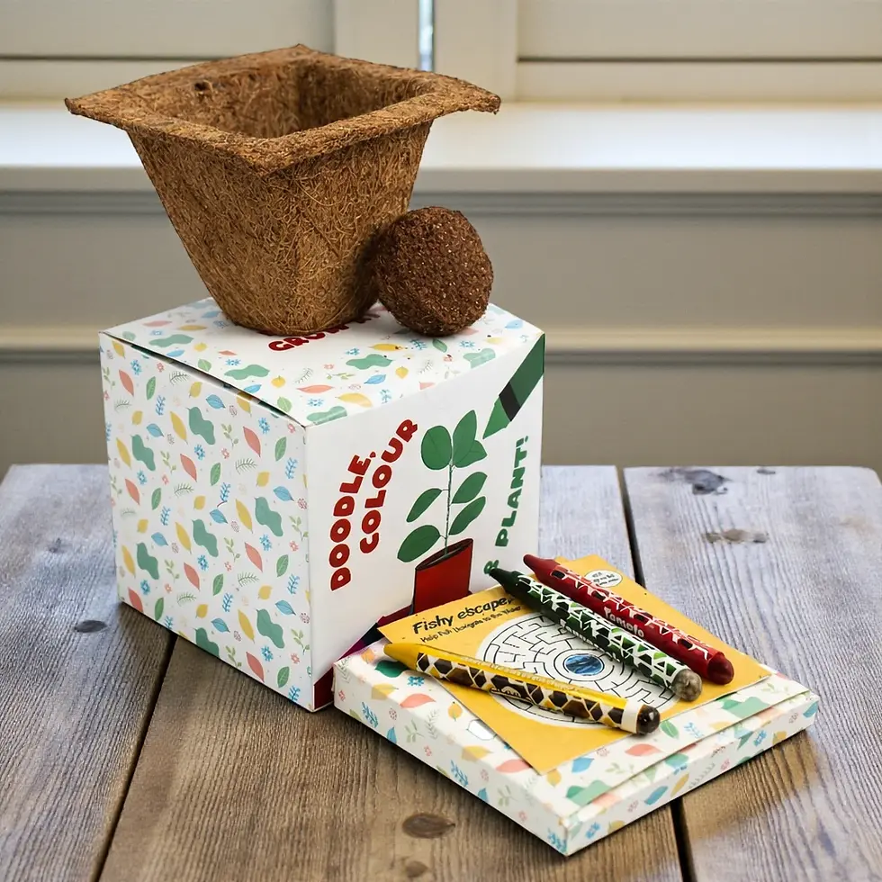 Thumbnail: Colour & Plant Crayon Kit