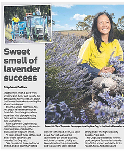 Screenshot 2024-02-13 at 11.58.14 am.png