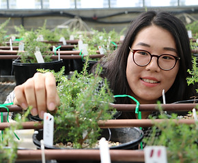 TIA PhD candidate Chanjoo Park is figuri