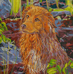 Nova Scotia Duck Tolling Retriever