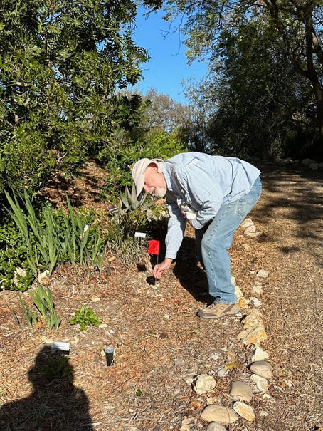 Garden Activities: December 17, 2024