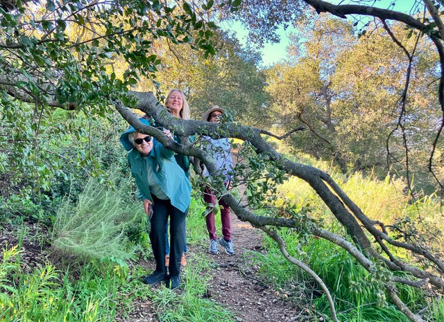 Beverly, Dale and Daryl approaching the limb.