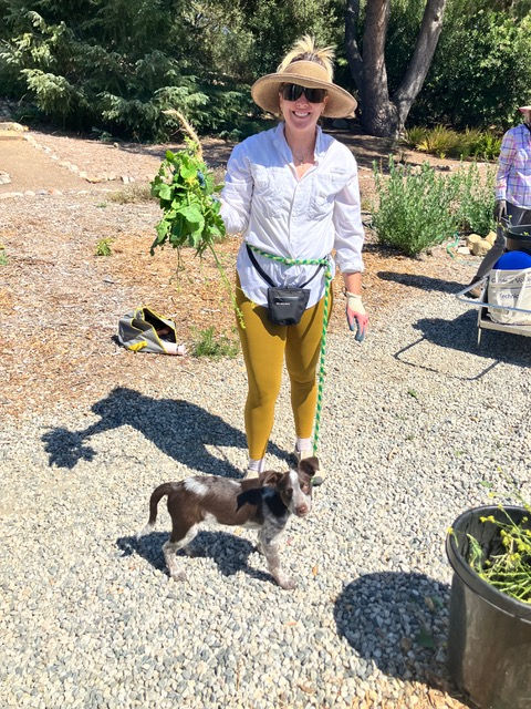 Katie with helper Spike holding a black mustard plant.