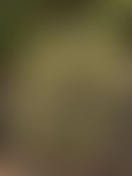 Garden Activities: November 19, 2024