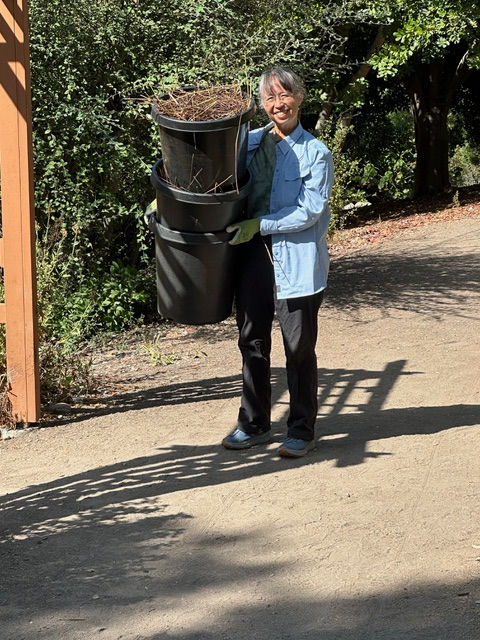 Susanna carrying one of the last pots of green waste to the bin.