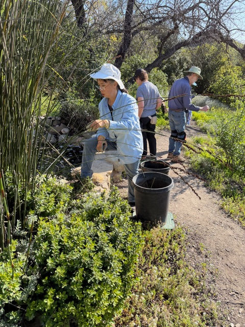 At least 3 of us (Susanna, Nancy, KMM) got the memo about showing up in a blue top!