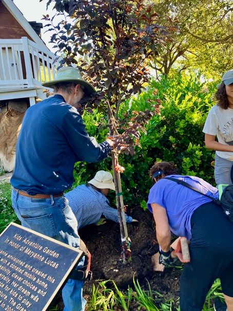 Garden Activities: March 17,2026