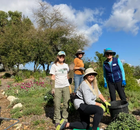 Activities for 26 March 2024