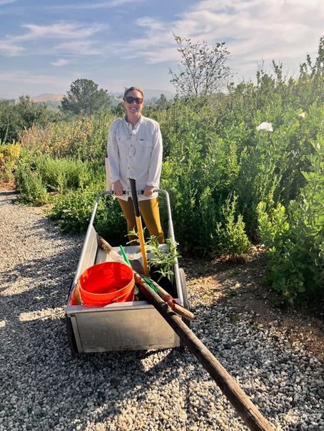 Garden Activities: March 24, 2026