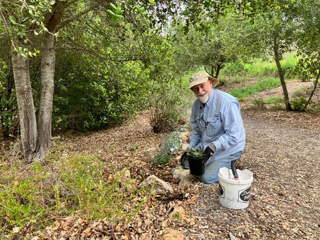 Garden Activities: March 10, 2026
