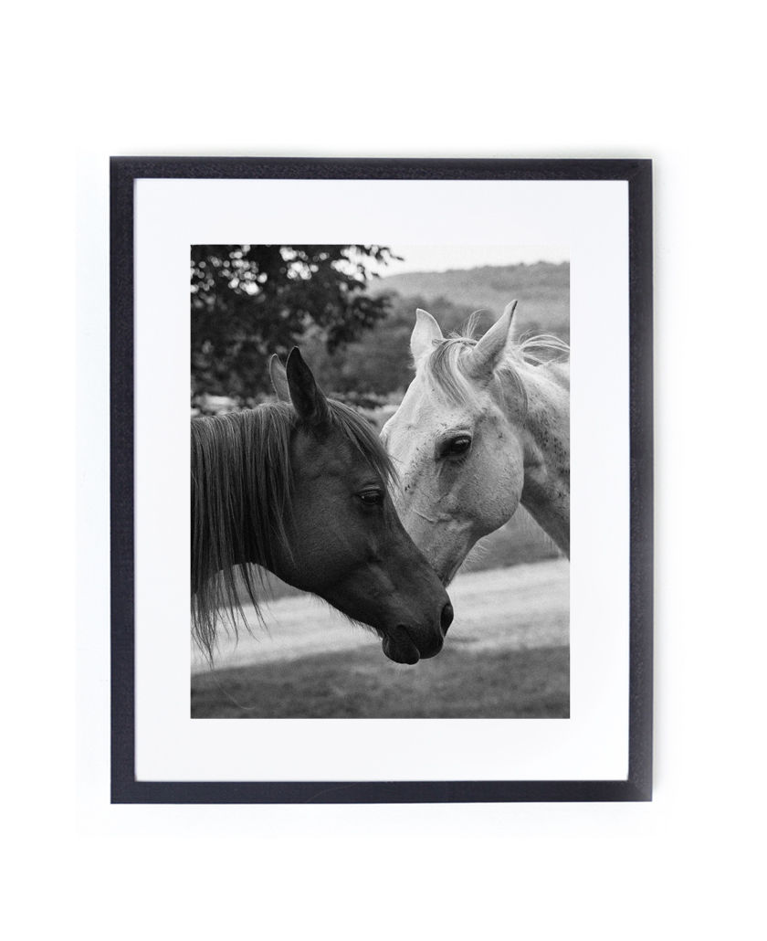 Thumbnail: The White Horse