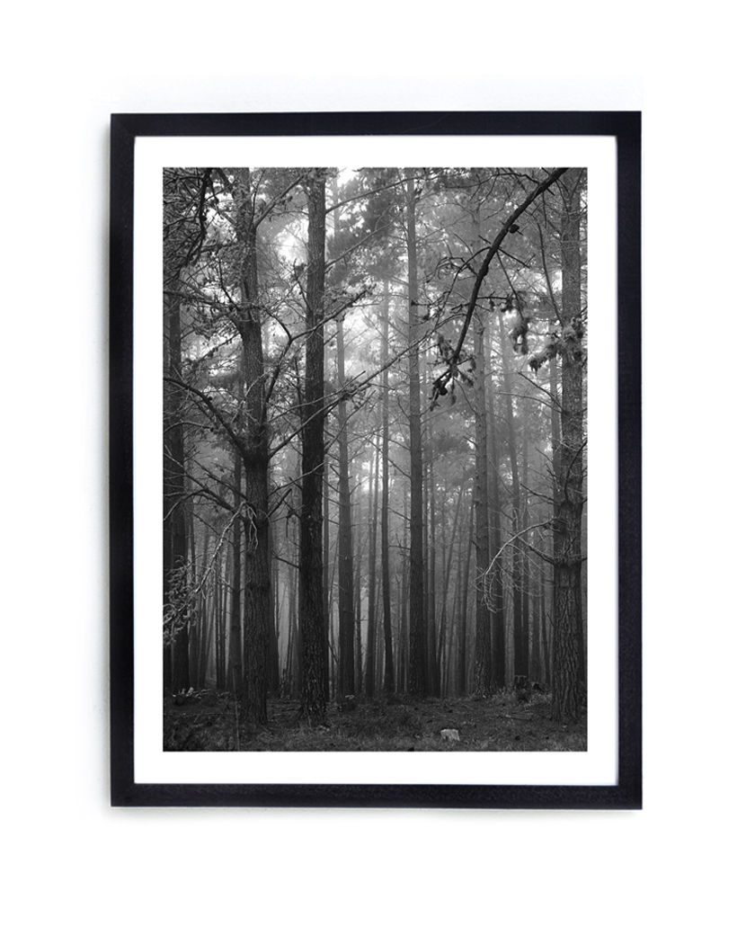 Thumbnail: Seven Mile Drive, Carmel, California