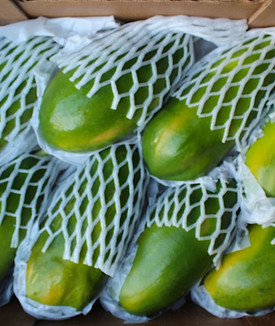 papaya2jpeg