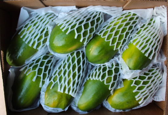 papaya2jpeg