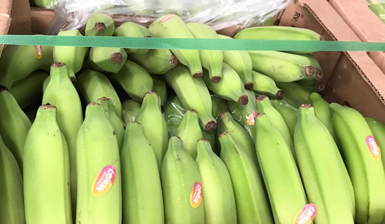 Banana