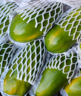 papaya3jpeg