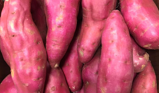 sweet-potatojpeg