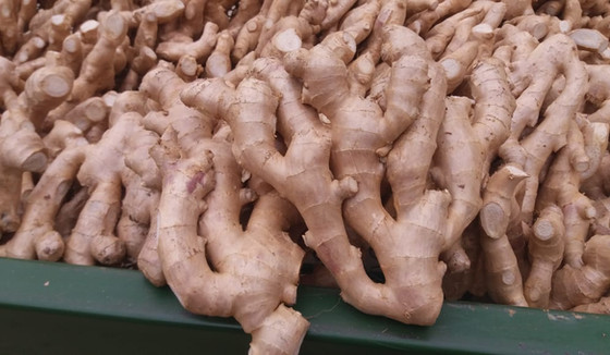 Ginger