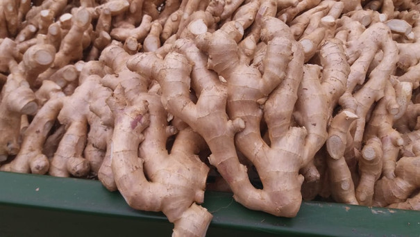 Ginger