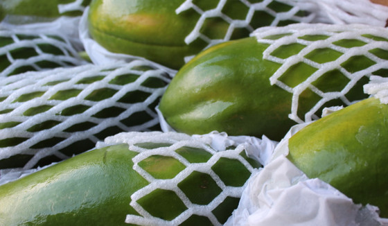 papaya1jpeg