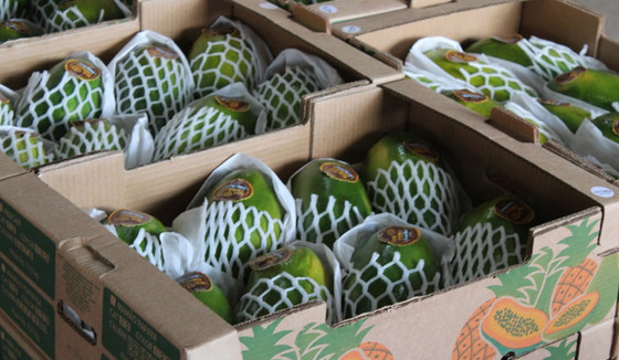 papaya4jpeg