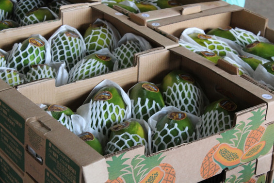 papaya4jpeg