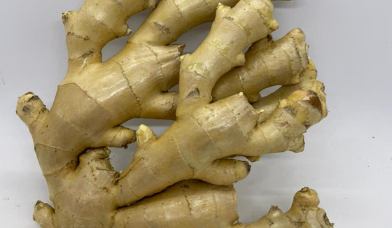 Ginger