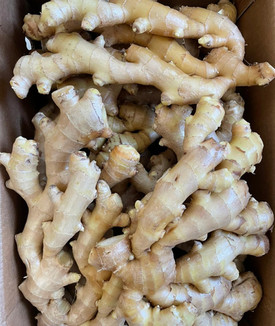 Ginger