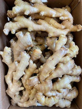 Ginger