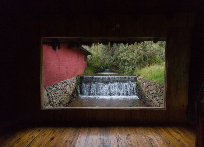 Un sueño profundo entre los milenarios árboles de papel
