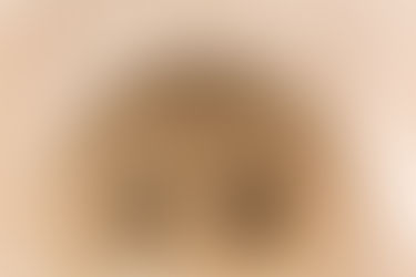 Una lista de razones por las que volvería a La Alhambra