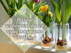 Заслужни сте за својот живот.