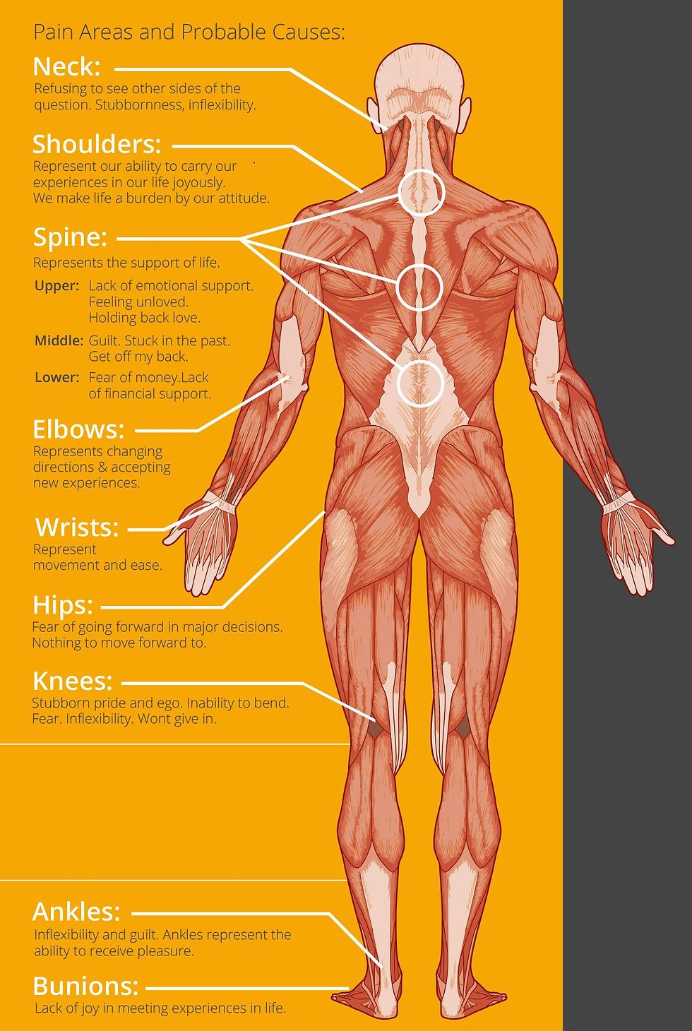 Предели во кои се јавува болка и веројатни причини за нивна појава