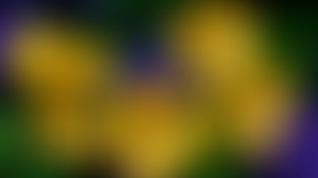 Непријатни настани и позитивно мислење - изградете го откако ќе поминат