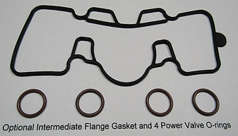 optional PV gasket and orings.JPG