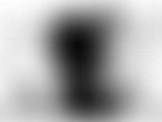 アサッテノホウ「補助金」