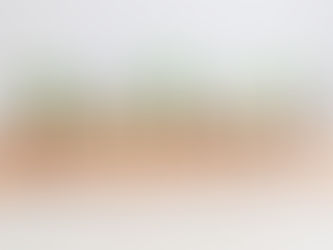 心理学から見るリーダー論とは？　『繊細さんの心理学』インタビュー（後編）